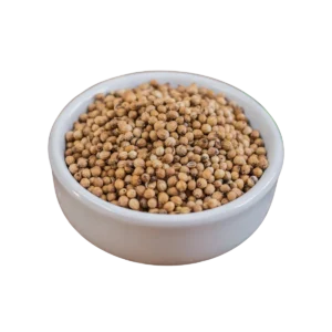 Coriandro en Grano