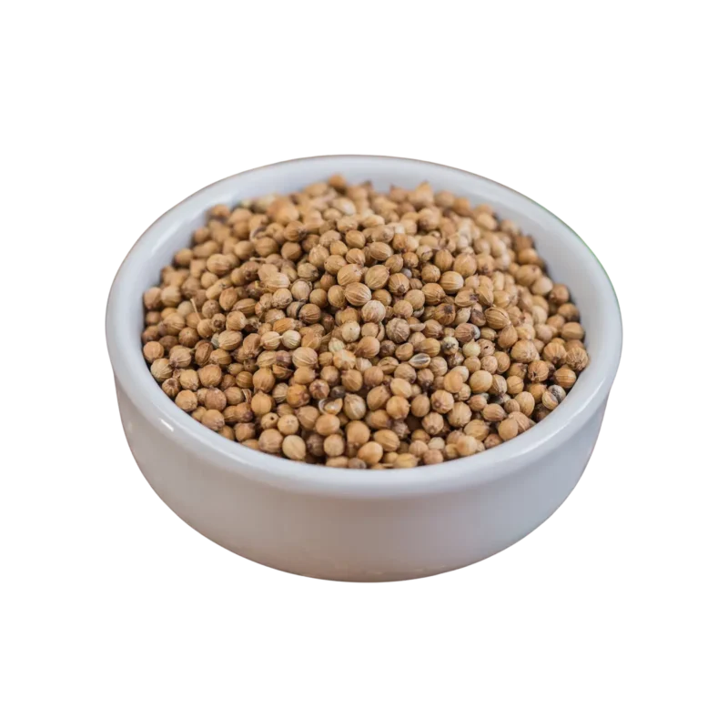 Coriandro en Grano