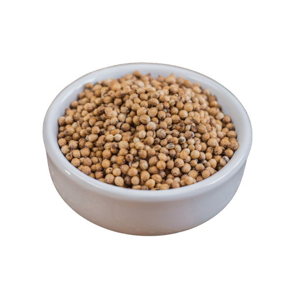 Coriandro en Grano