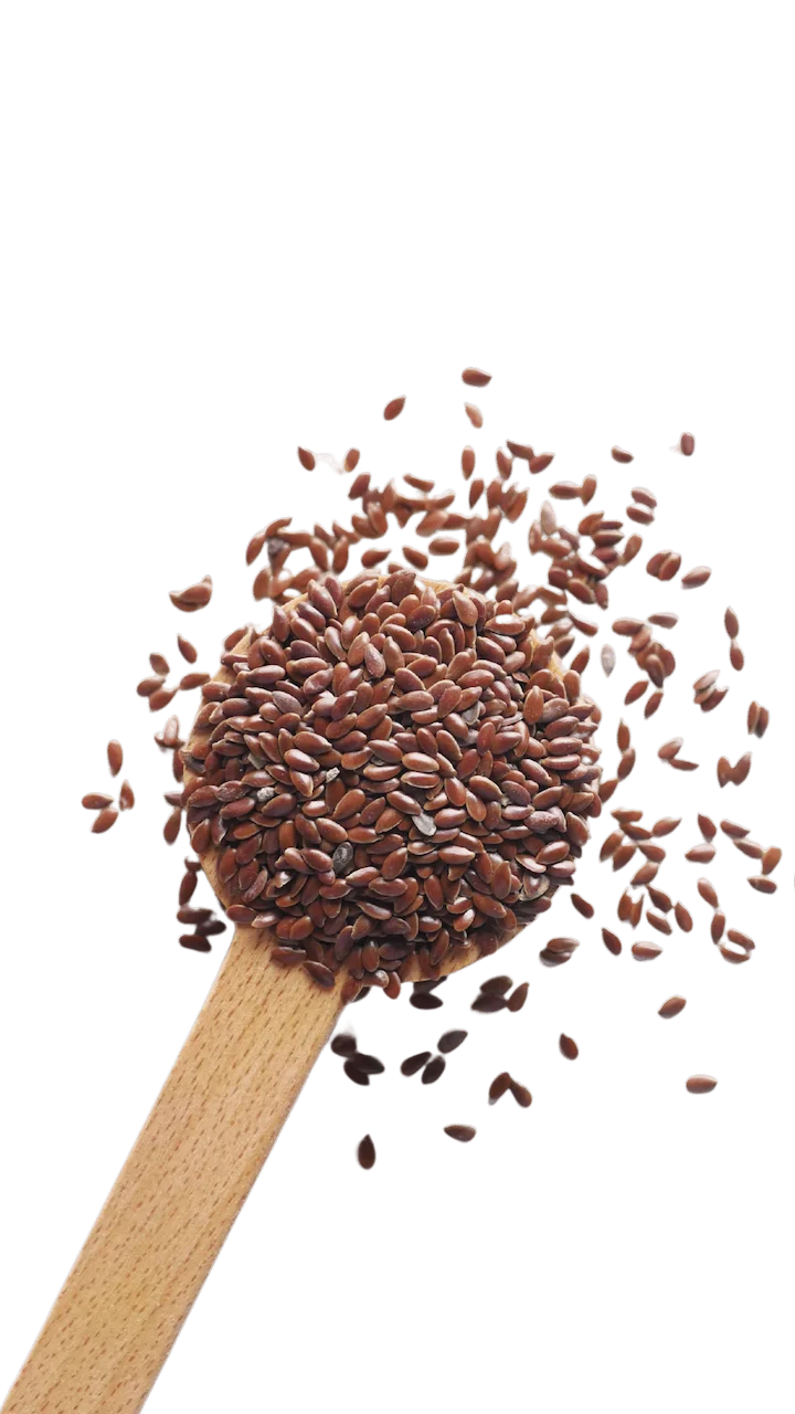 Especias Semillas y Condimentos Premium